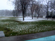 This is Spring???