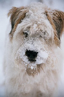 Winter 2007-08