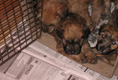 we're home?? - May 4